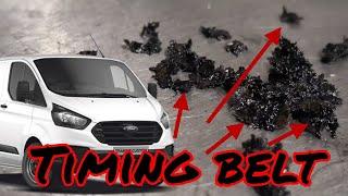 Ford Transit Custom 2.0 Diesel Ecoblue wet timing belt replacement