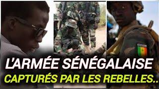 Les Rebelles En Casamance attaque L'armée Sénégalaise