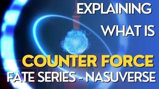 Explaining Who is Counter Force? - FATE SERIES (NASUVERSE)