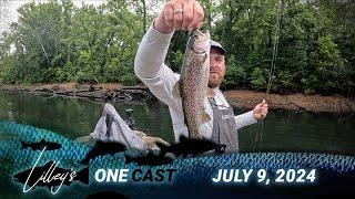 Lilley's One Cast, July 9