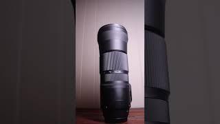 Sigma 150-600mm f5-6.3 super telephoto lens #photography #telephotolens #sigmalens