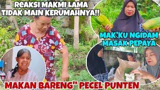 REAKSI MAKMI LAMA TIDAK MAIN KERUMAHNYA‼️ENAKNYA MAKAN BARENG" PECEL PUNTEN‼️PANEN" DIKEBUN MAKMI