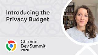 Introducing the Privacy Budget