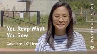 You Reap What You Sow | Galatians 6:7 | Our Daily Bread Video Devotional