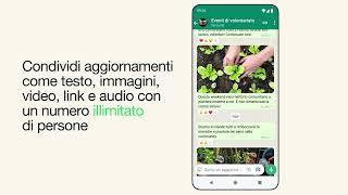 Creare un canale WhatsApp | WhatsApp