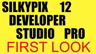  Silkypix Developer Studio Pro 12. New Version First Impression