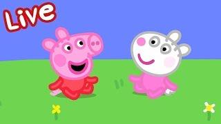 Peppa Pig Full Episodes  Peppa Pig STREAMING NOW  Kids Videos 