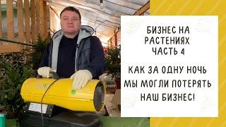 НИКОГДА НЕ ДОПУСКАЙТЕ ЭТУ ОШИБКУ, ЕСЛИ НАЧИНАЕТЕ ЦВЕТОЧНЫЙ БИЗНЕС!