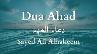 Dua Ahad | Sayed Ali Alhakeem (with English Subs) دعاء العهد السيد علي الحكيم