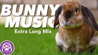 EXTREMELY RELAXING Music for Rabbits | 12 Hour Mix