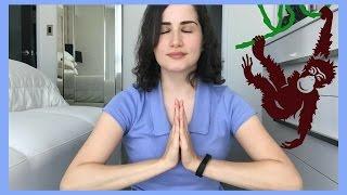 WHY MEDITATE? | Meditation for beginners 