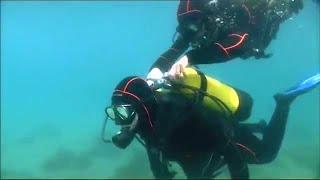 She wasn't alone underwater... - Female scuba diver attacked!