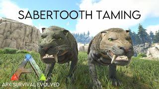 High Level Sabertooth Taming! [ Ark Survival Evolved: Valguero ]