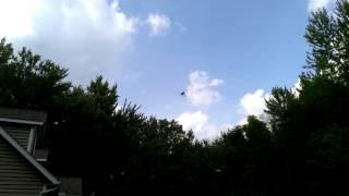 Flying my Trex450 3D 6 channel RC helicopter after a few brews small yard