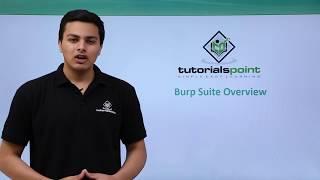 Penetration Testing - Burp Suite Overview