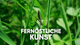 TENKARA - Diese Angelart kennt NIEMAND!