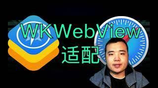 iOS Development WKWebView Horizontal Evaluation of All Adaptations