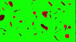 FREE rose petals falling green screen effect