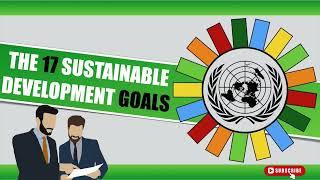 Sustainable Development Goals - EXPLAINED in 5 minutes! (SDG’s)