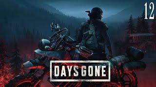 Прохождение игры Days Gone на 100% #12(Память о Саре)