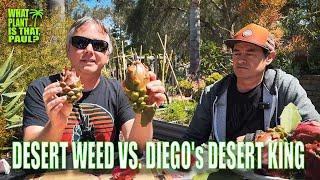 DESERT WEED VS. DIEGO's DESERT KING TASTE and REVIEW with PACO FRAUSTO