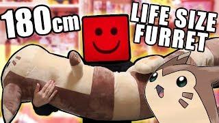 LIFESIZE Furret Walks Into My Life - Pokémon