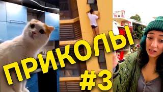 пятничные приколы № 3, подборка приколов за неделю