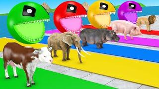 Cow Mammoth Elephant Hippo Gorilla Duck Guess The Right Key ESCAPE ROOM CHALLENGE Animals Cage Game