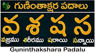 Guninthakshara Padalu in telugu వ శ ష స గుణింత పదాలు | Va Se Sha Sa Gunintha Padalu |Telugu Vanam