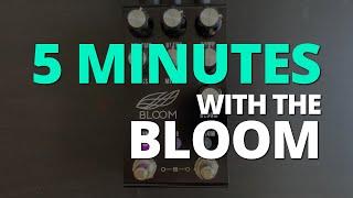 5 Minutes with the Jackson Audio Bloom - Pedal Demo