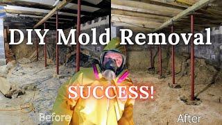 The Mold is gone | Update on DIY mold removal