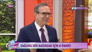 8 Madde de Bağırsak Sağlığı ve Beslenme