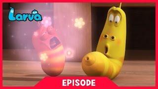 LARVA - FLOWER FARTS | 2017 Cartoon Movie | Cartoons | Comics | 라바 | LARVA Official