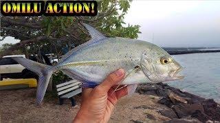 Solomon Slays Another Omilu! - Hawaii Reef Fishing