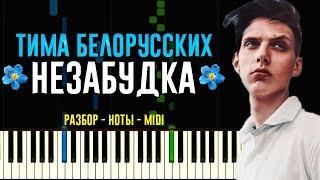Тима Белорусских - Незабудка | На Пианино