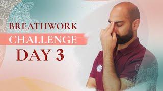 Day 3 - Breathwork for Balance  |  Transformational Breathwork Challenge