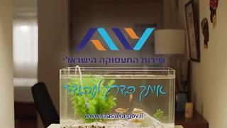 שירות התעסוקה – סדר יום חדש