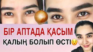 Қасым 1 аптада өсті. Қасты қалай өсіруге болады. Қас өсіру