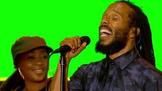 Ziggy Marley –Is This Love (Bob Marley cover) | Live at Exit Festival (2018)