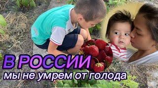 В России мы никогда не будем голодными! | Многодетная семья