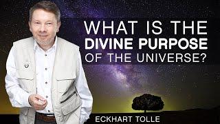 The Divine Purpose Of The Universe