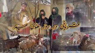 کاکابایه در روز های عید/قربانی گوسفند ها و توزیع گوشت برای هموطنان نیازمند،Eid Qurban