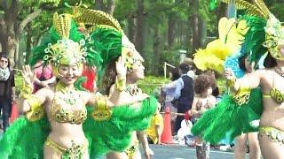 サンバ  おまつりパレード・神戸まつり  /  Samba Festival parade Kobe Festival