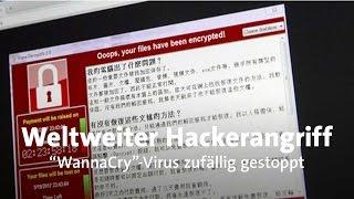 "WannaCry"-Virus: Zufall stoppt weltweiten Hackerangriff