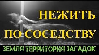 Нежить по соседству. Земля Территория Загадок. Серия 04.