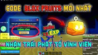 CODE X2 EXP VÀ NHẬN TRÁI PHẬT TỔ MỚI NHẤT UPDATE 20 BLOX FRUITS  | THÀNH CÔNG 100% #bloxfruits
