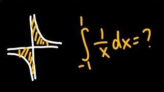 Improper integral of 1/x from -1 to 1 (THE DEBATE?)