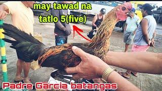 July 17 2024 Presyo Ng mga Manok sa padre Garcia batangas...