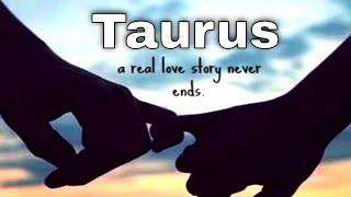 Taurus: Guided by Fate, Two Lovers Traverse the Silence to Reunite - Intuitive Tarot May #taurus