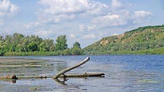 Fishing in the summer, the river Vorskla, the lower reaches